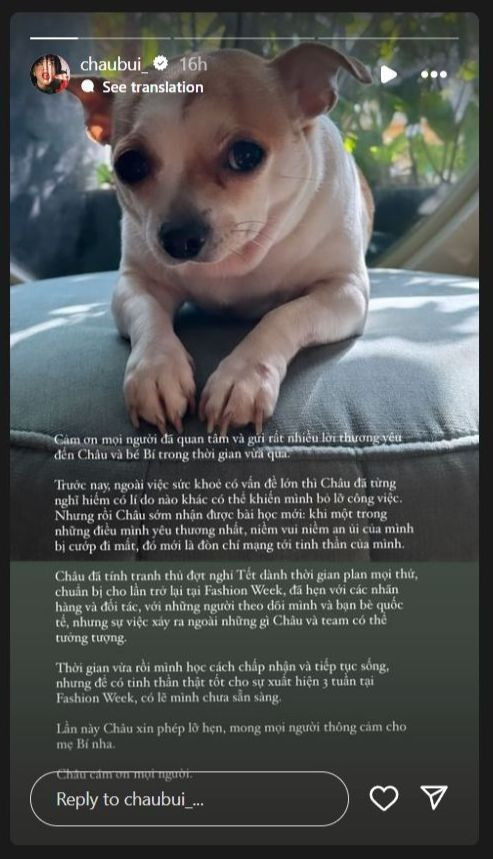 Châu Bùi gặp vấn đề sức khỏe, không thể tham gia mùa mốt như dự kiến.
