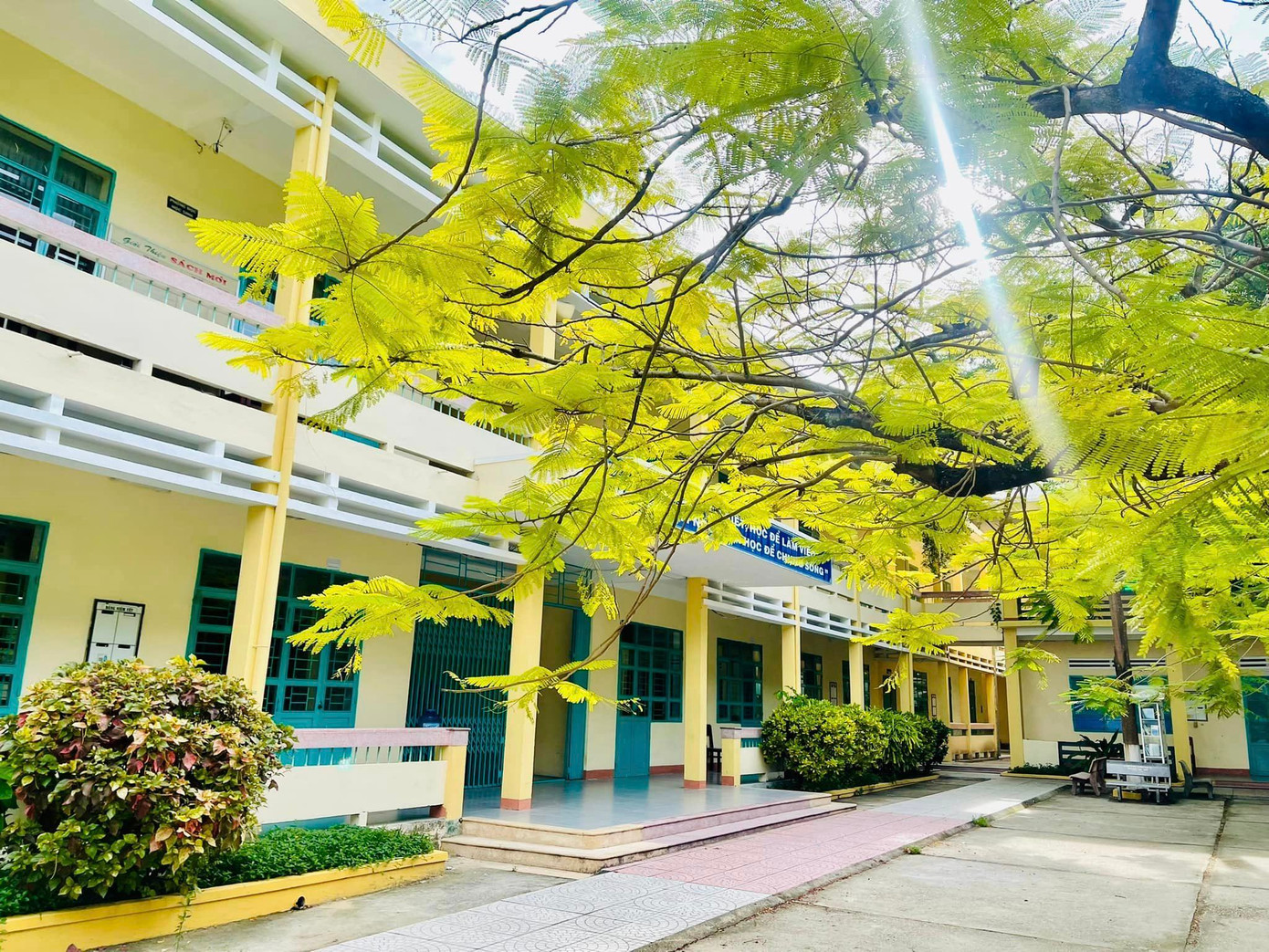 Ảnh: Fanpage Tuổi trẻ THPT Nguyễn Duy Hiệu - Điện Bàn Ảnh: Fanpage Tuổi trẻ THPT Nguyễn Duy Hiệu - Điện Bàn