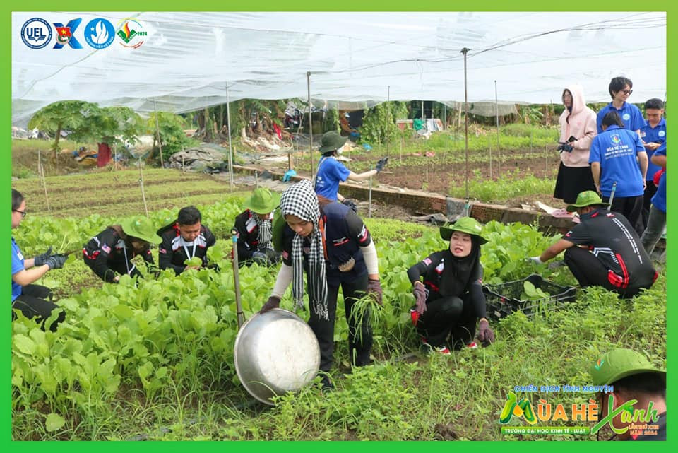 Ảnh: Mùa hè xanh UEL