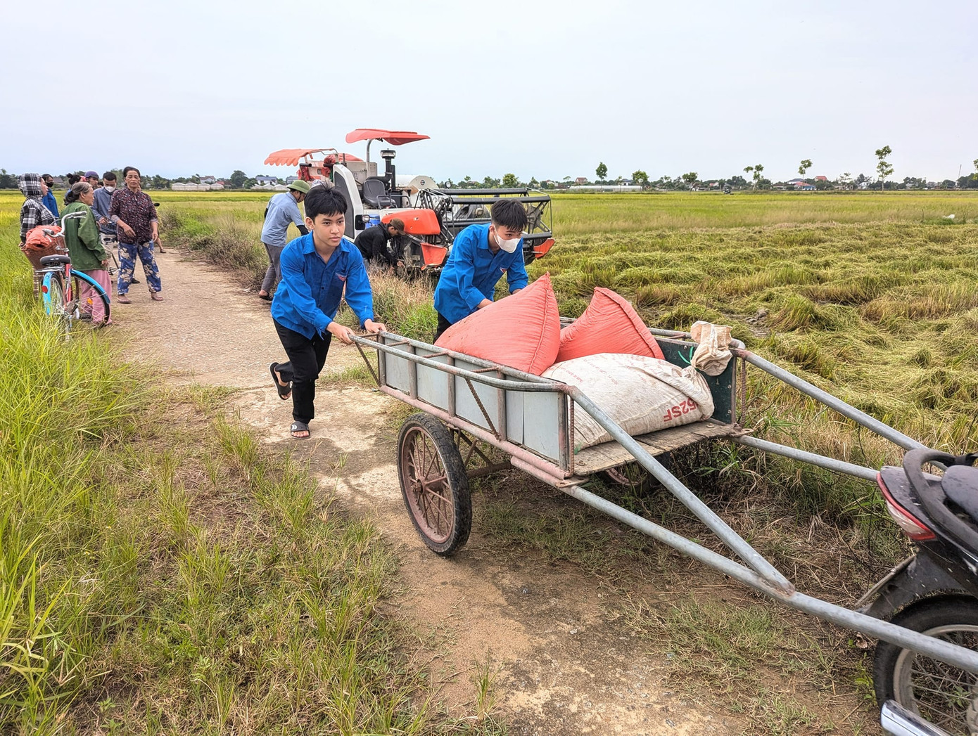 Ảnh: Tuổi Trẻ Thạch Châu