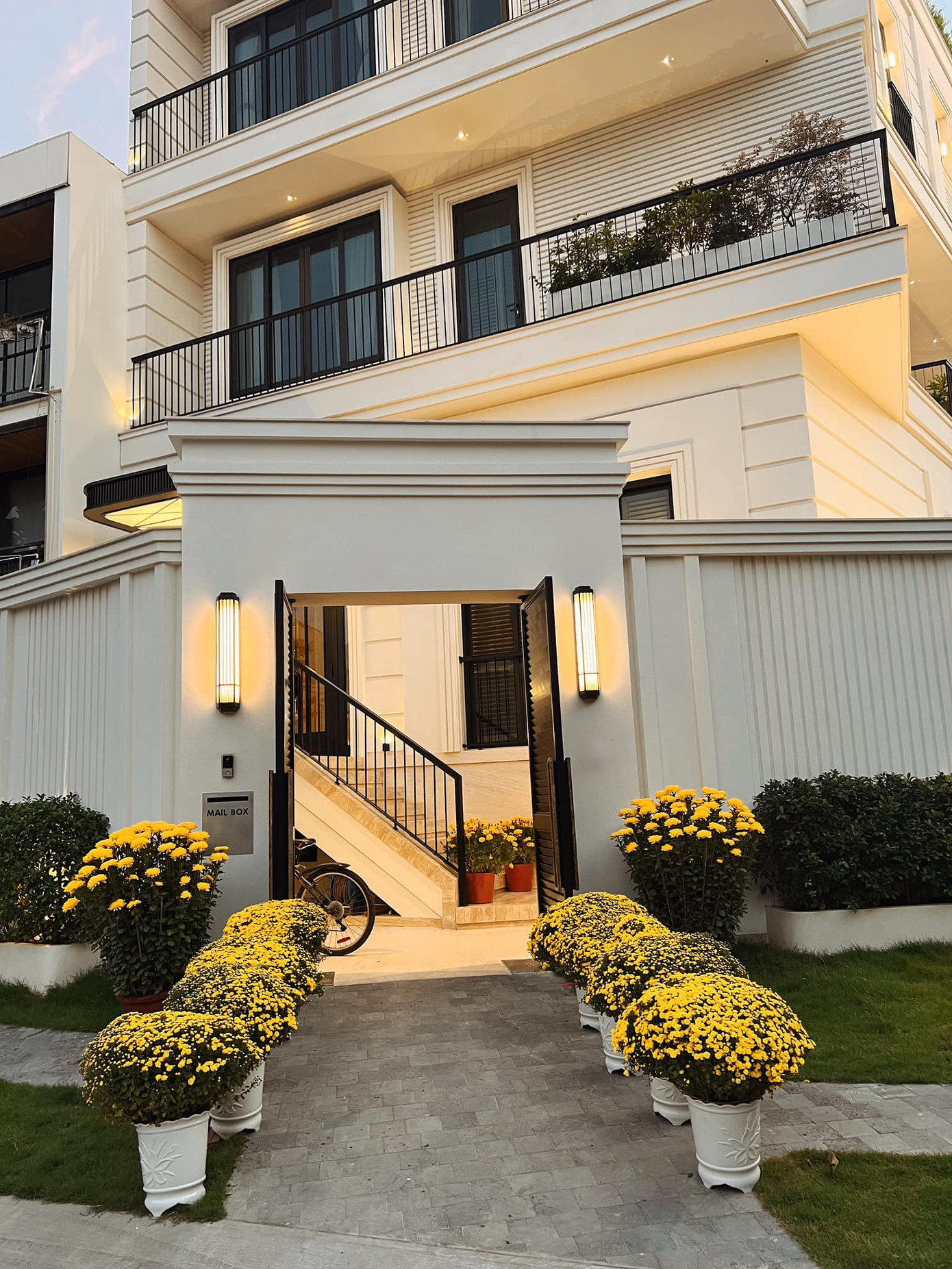 Noo Phước Thịnh trang trí phía trước nhà nhiều chậu cúc, mai, đào, ly kép,...