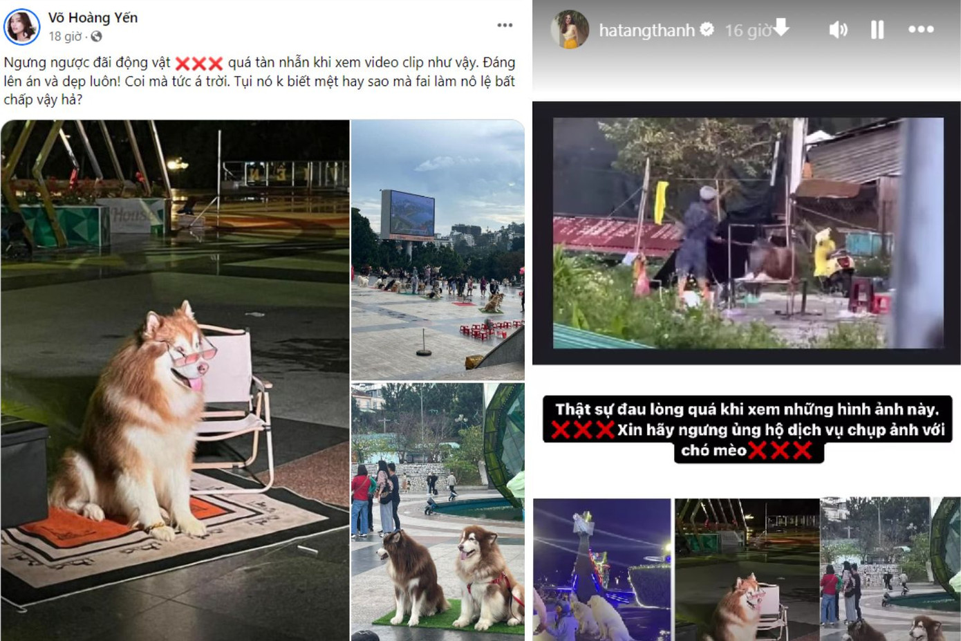 Võ Hoàng Yến và Tăng Thanh Hà kêu gọi ngừng ủng hộ dịch vụ chụp ảnh với chó mèo tại địa điểm du lịch. Võ Hoàng Yến và Tăng Thanh Hà kêu gọi ngừng ủng hộ dịch vụ chụp ảnh với chó mèo tại địa điểm du lịch.