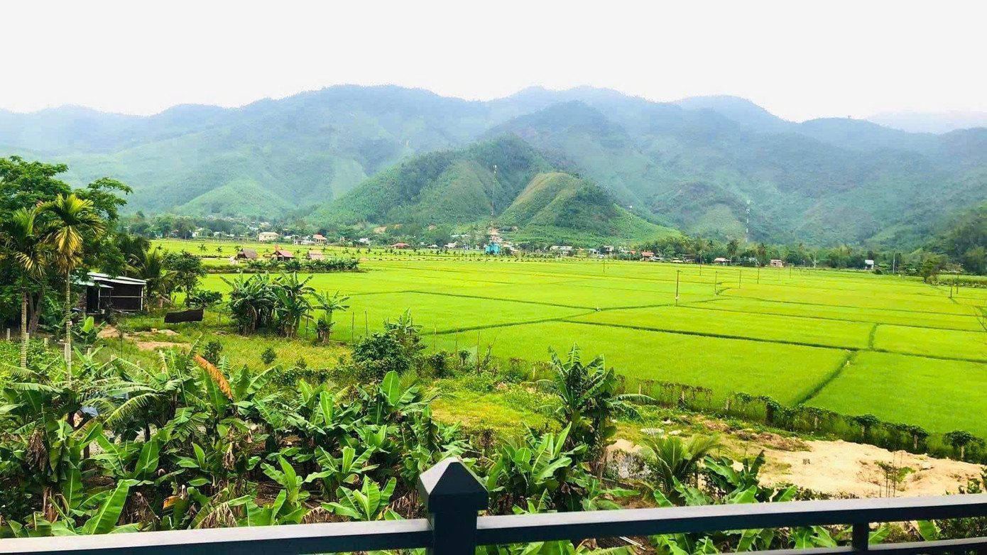 Cánh đồng lúa xanh mướt trải dài dưới chân núi. Ảnh: Kiều Ly Cánh đồng lúa xanh mướt trải dài dưới chân núi. Ảnh: Kiều Ly