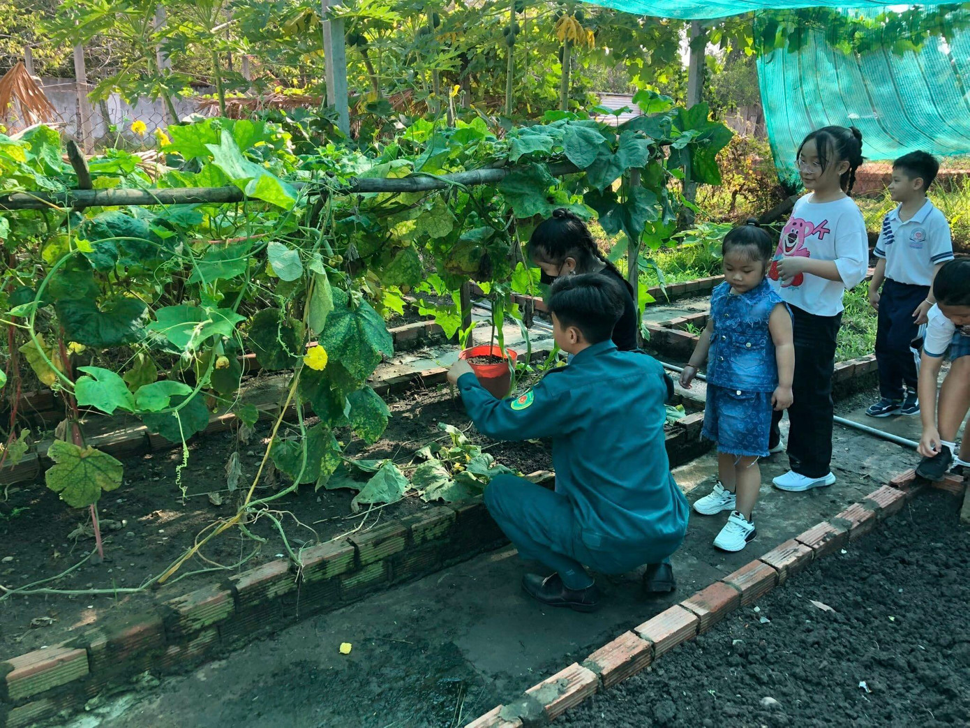 Các em thiếu nhi được tìm hiểu và học các trồng cây. Ảnh: Đoàn Cơ Sở