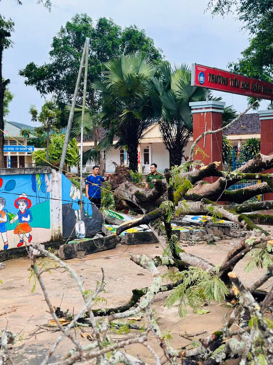 Ảnh: Đoàn Thanh niên Công an Nghệ An