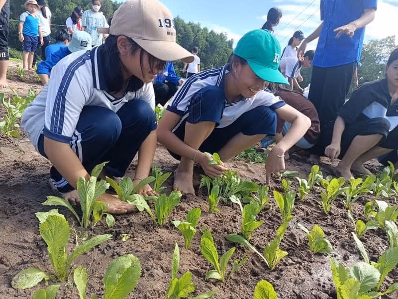 Các em thiếu nhi thích thú tham gia các hoạt động. Ảnh: Đất Đỏ Ngày Mới