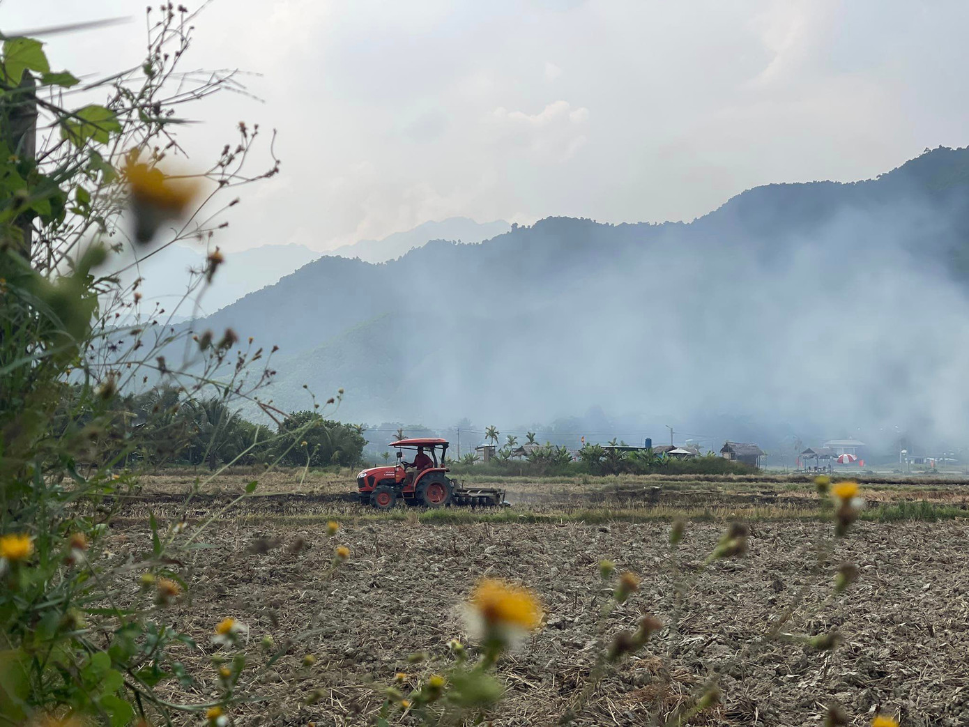 Một khoảng yên bình. Ảnh: Lê Hà Một khoảng yên bình. Ảnh: Lê Hà
