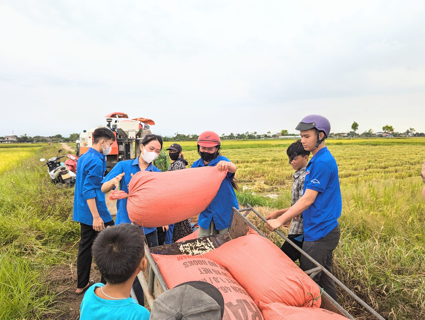 Ảnh: Tuổi Trẻ Thạch Châu