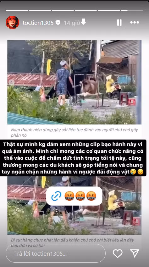 Ca sĩ Tóc Tiên mong chính quyền sẽ sớm giải quyết thực trạng đáng buồn trên.