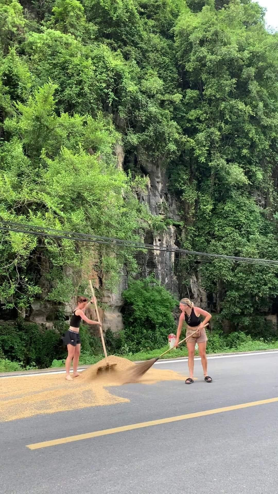 Netizen đùa rằng du khách nước ngoài không hòa nhập mà "hòa tan" khi đến Việt Nam.