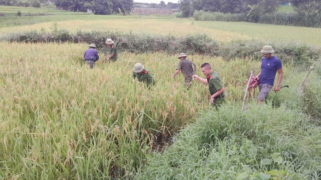 Ảnh: Đoàn Thanh niên Công an Nghệ An