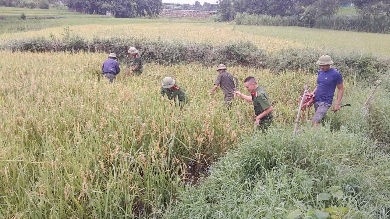 Ảnh: Đoàn Thanh niên Công an Nghệ An