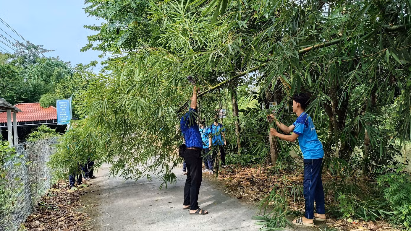 Ảnh: Đoàn Trường THPT Thới Lai