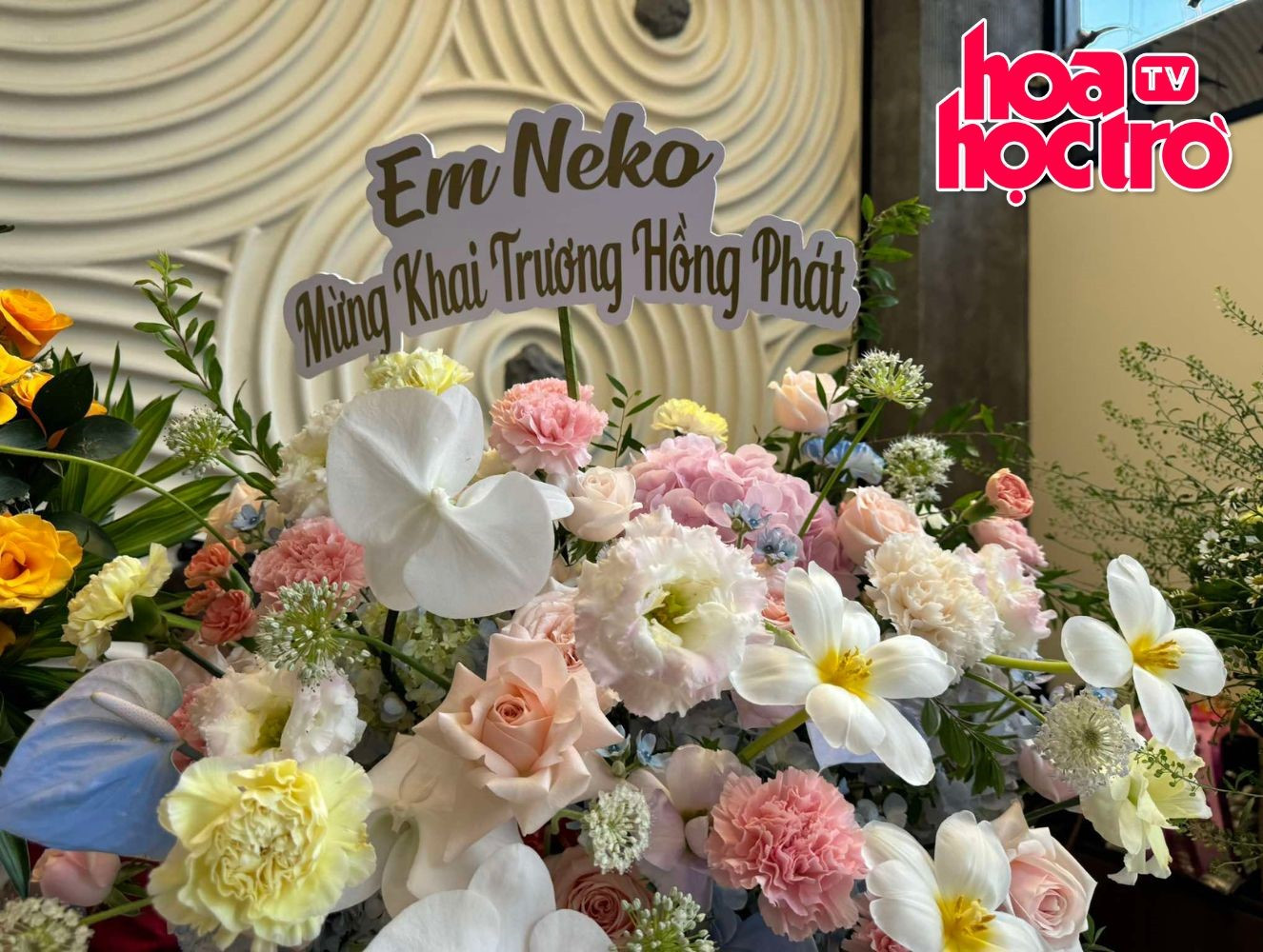 Neko Lê mừng Sam khai trương quán mới.