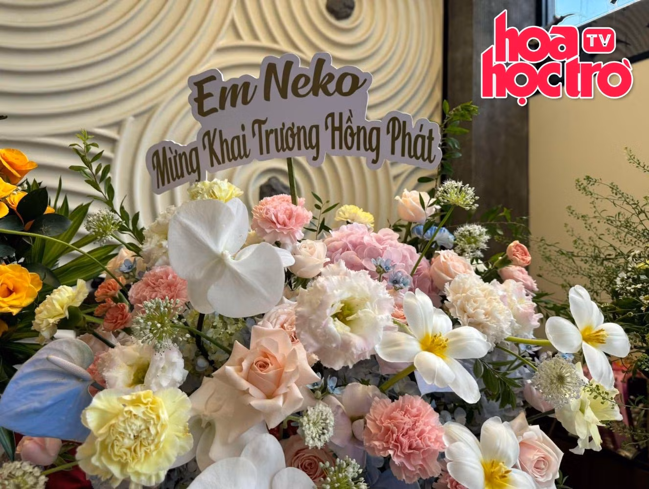 Neko Lê mừng Sam khai trương quán mới.