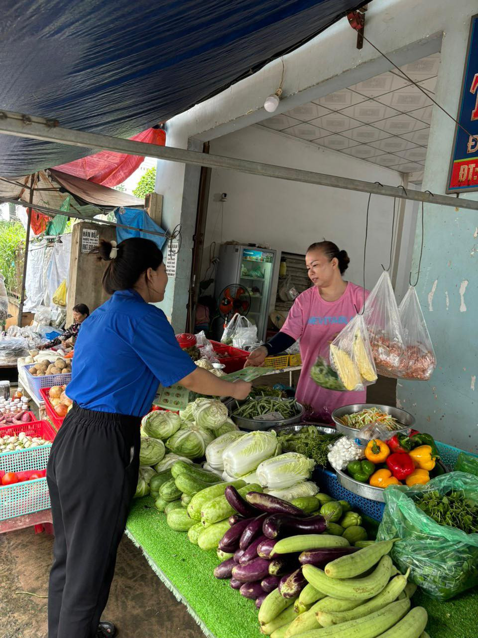 Ảnh: Đoàn TNCS Hồ Chí Minh xã Tây Hòa Ảnh: Đoàn TNCS Hồ Chí Minh xã Tây Hòa
