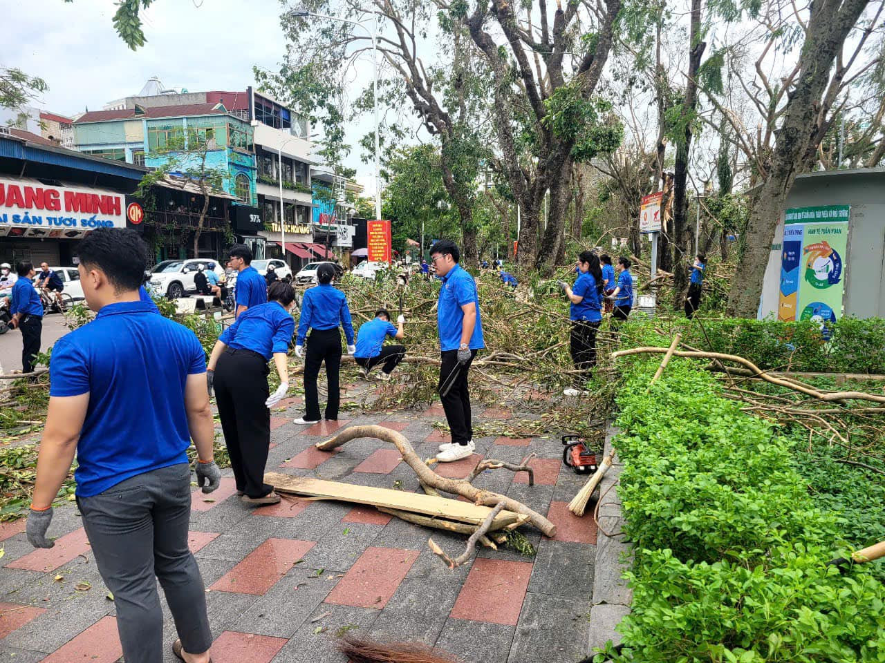 Sau cơn bão, nhiều cành cây, nhánh cây gãy nằm la liệt trên các tuyến đường. Ảnh: Thành đoàn Hải Phòng