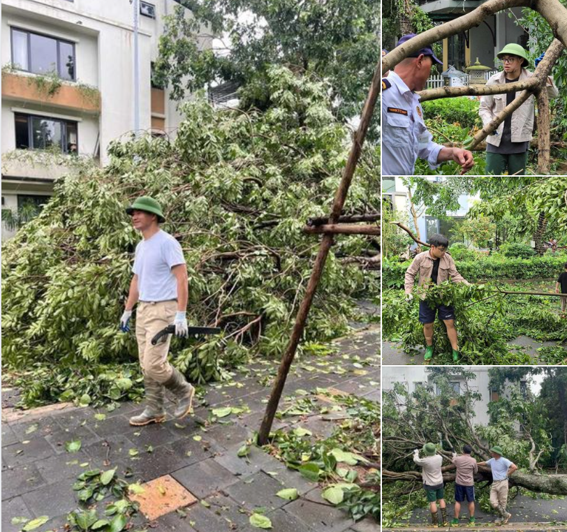 Sáng 8/9, NSND Xuân Bắc cùng các con tham gia dọn dẹp cây cối đổ nát sau trận bão. Sáng 8/9, NSND Xuân Bắc cùng các con tham gia dọn dẹp cây cối đổ nát sau trận bão.