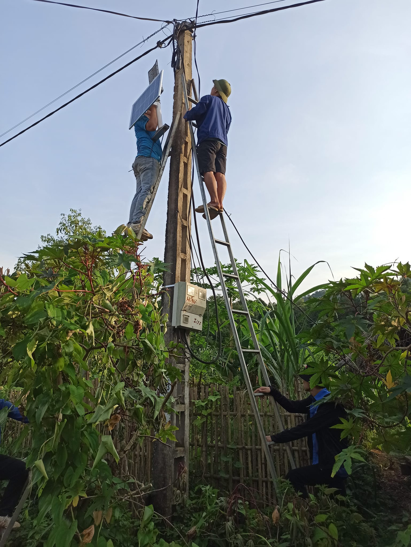 Ảnh: Tuổi Trẻ Phú Thượng Ảnh: Tuổi Trẻ Phú Thượng