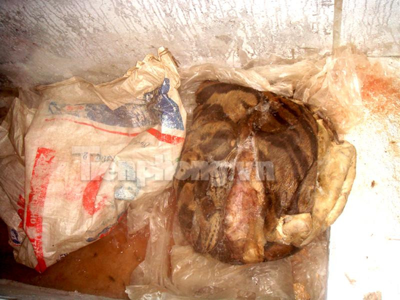 Con hổ bị xẻ làm đôi trong chiếc thùng đông lạnh cỡ lớn Chiếc đầu và một nửa khác của con hổ thứ hai vứt trong góc nhà bẩn thỉu 2 miếng thịt hổ lớn vứt trong nhà vệ sinh, một miếng nằm ngay trên bệ xí Hai nồi cao khỉ được nấu công khai ở sân khu tập thể Đĩa đựng óc và cặp mắt hổ Nồi cao khỉ đang được nấu Bộ da hổ còn nguyên đựng trong thùng đông lạnh thứ hai Lực lượng công an thẩm vấn những đối tượng liên quan 4 chiếc ngà voi bị thu giữ Bộ da hổ nhồi cùng 2 đầu hươu còn nguyên sừng Con hổ bị xẻ làm đôi trong chiếc thùng đông lạnh cỡ lớn Chiếc đầu và một nửa khác của con hổ thứ hai vứt trong góc nhà bẩn thỉu 2 miếng thịt hổ lớn vứt trong nhà vệ sinh, một miếng nằm ngay trên bệ xí Hai nồi cao khỉ được nấu công khai ở sân khu tập thể Đĩa đựng óc và cặp mắt hổ Nồi cao khỉ đang được nấu Bộ da hổ còn nguyên đựng trong thùng đông lạnh thứ hai Lực lượng công an thẩm vấn những đối tượng liên quan 4 chiếc ngà voi bị thu giữ Bộ da hổ nhồi cùng 2 đầu hươu còn nguyên sừng