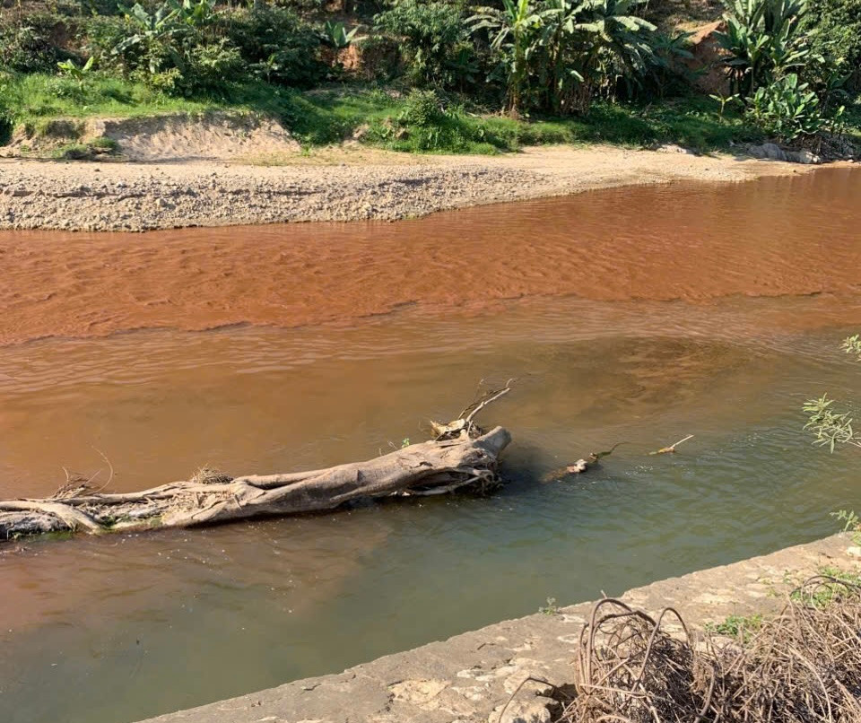 Cơ quan chức năng đang kiểm tra, lấy mẫu phân tích để tìm nguyên nhân cũng như xác định xem nguồn nước có bị ô nhiễm không.