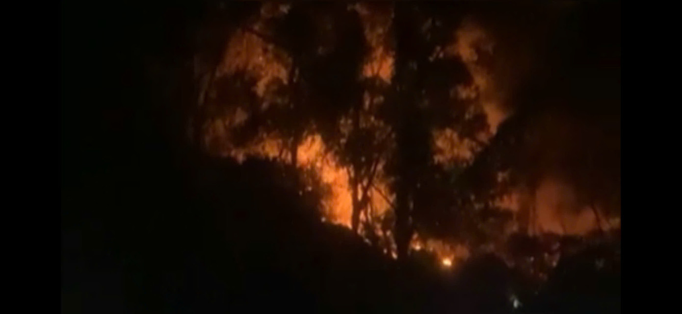 Hình ảnh cháy khu rừng ở núi Ngọc, thuộc phường Hàm Rồng, TP. Thanh Hóa. Ảnh cắt từ clip
