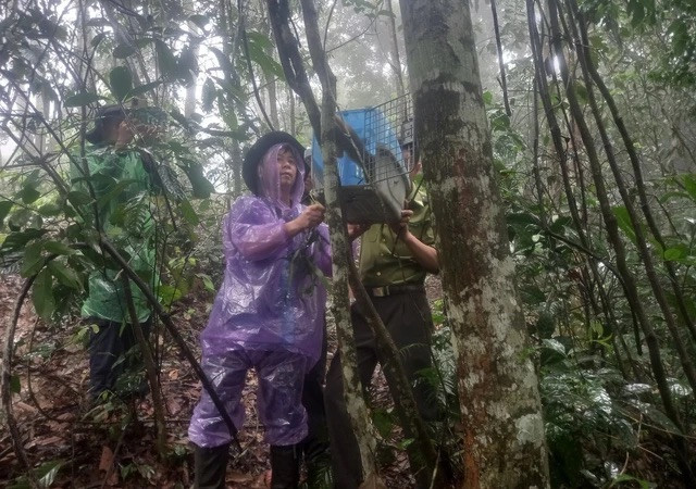 Khu BTTN Pù Hu tổ chức chăn nuôi và cứu hộ được 16 loài, với tổng số 106 cá thể động vật hoang dã quý hiếm thuộc nhóm IB, IIB và động vật hoang dã thông thường về rừng.