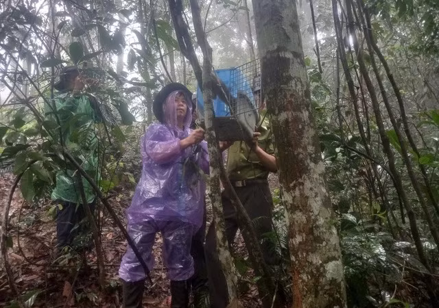 Khu BTTN Pù Hu tổ chức chăn nuôi và cứu hộ được 16 loài, với tổng số 106 cá thể động vật hoang dã quý hiếm thuộc nhóm IB, IIB và động vật hoang dã thông thường về rừng.