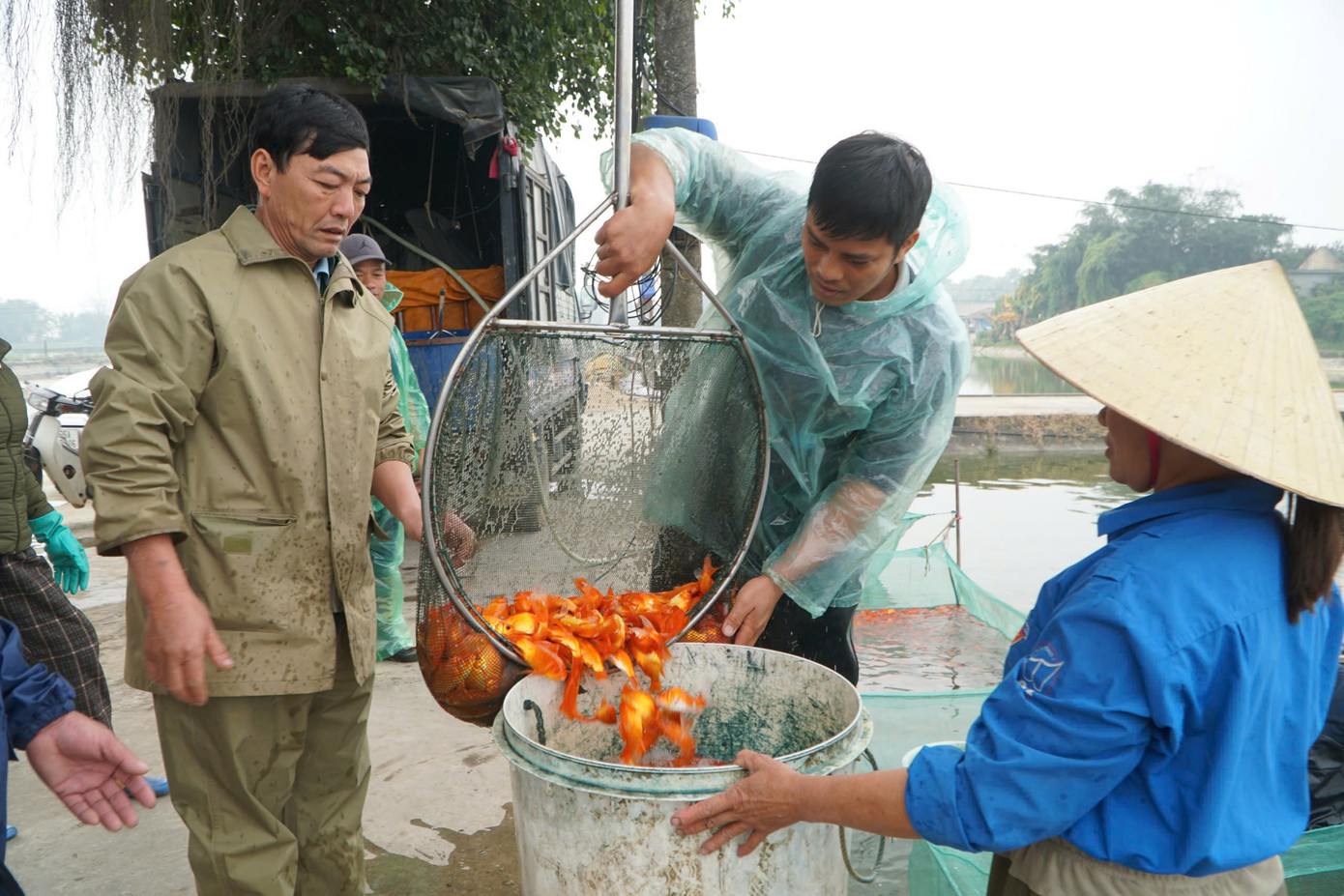 Tấp nập mua bán cá chép đỏ trước ngày Tết ông Công ông Táo. Tấp nập mua bán cá chép đỏ trước ngày Tết ông Công ông Táo.