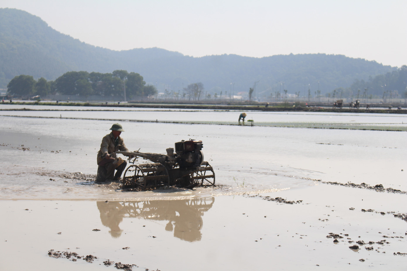Người dân làm đất, chuẩn bị ruộng để tranh thủ cấy lúa