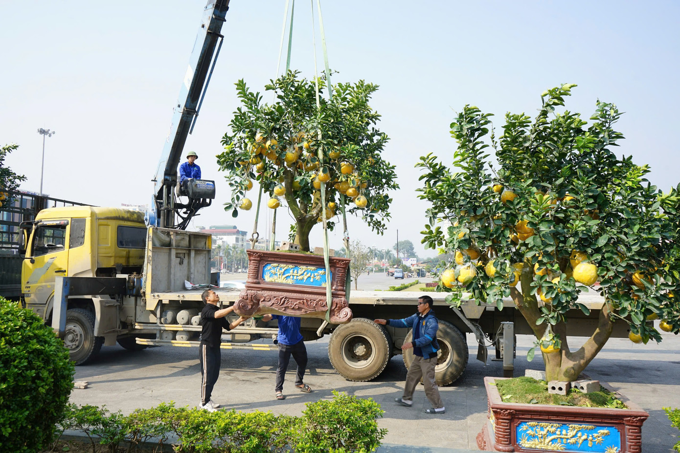 Các tiểu thương vận chuyển cây về điểm bán ở TP. Thanh Hóa. Các tiểu thương vận chuyển cây về điểm bán ở TP. Thanh Hóa.
