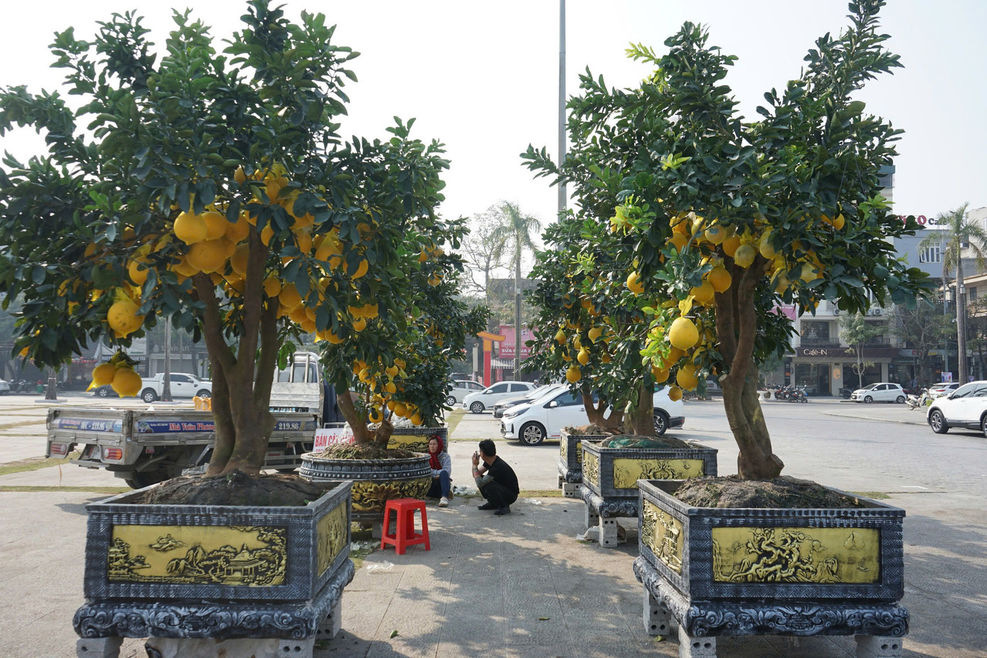 Theo các tiểu thương, giá cây cảnh, hoa dịp Tết năm nay cao hơn mọi năm. Theo các tiểu thương, giá cây cảnh, hoa dịp Tết năm nay cao hơn mọi năm.