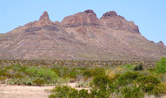 Ảnh: cazamitos.com. Ảnh: cazamitos.com