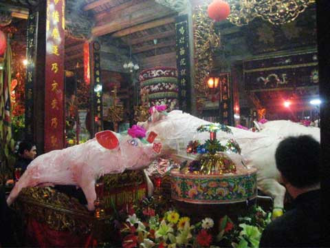 Tất cả 17 “ông lợn” của các xóm được rước vào trong đình