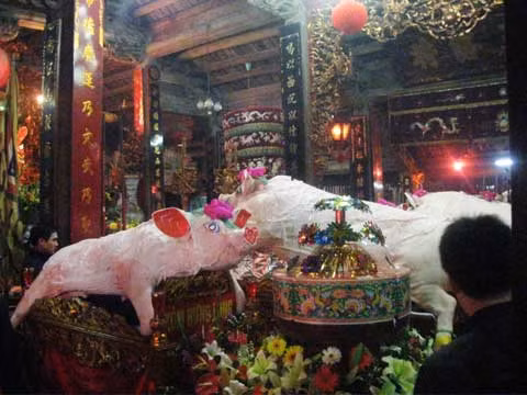 Tất cả 17 “ông lợn” của các xóm được rước vào trong đình