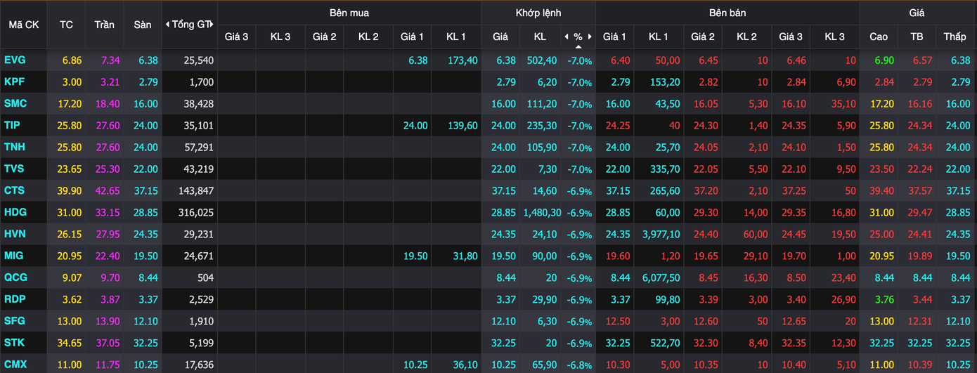 HoSE có hơn 20 cổ phiếu nằm sàn.