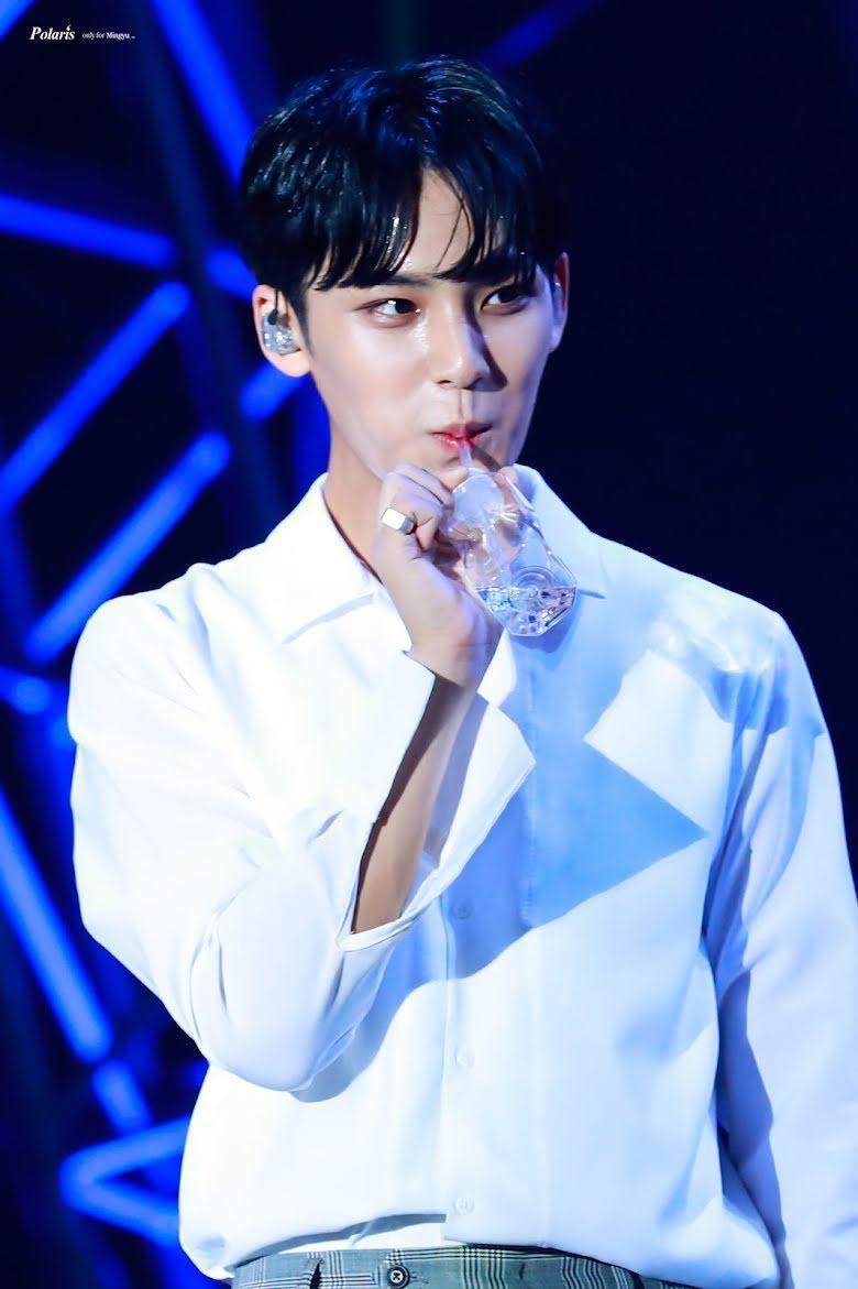 Mingyu là rapper của nhóm nhạc SEVENTEEN.
