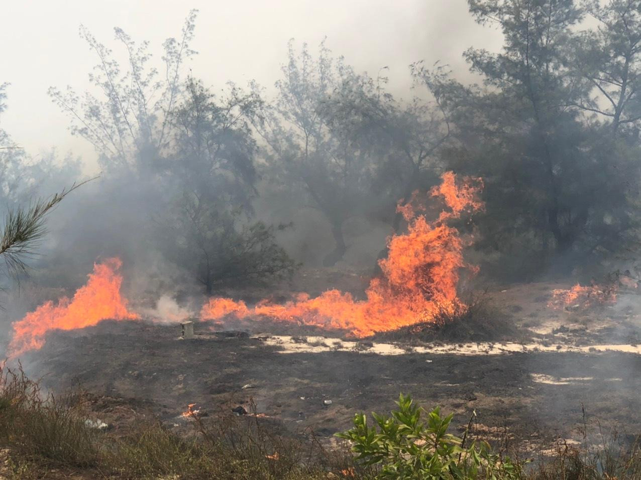 Trời nắng nóng và thực bì khô cùng với sự hoạt động mạnh của gió phơn tây nam làm những đám cháy bùng lên dữ dội.