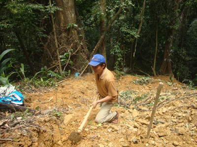 Bới tung cả cánh rừng để tìm theo dấu trầm