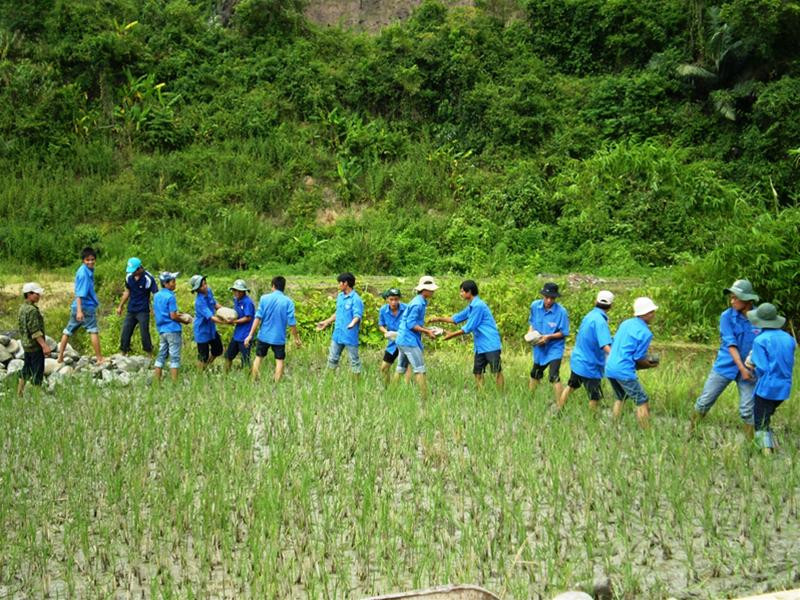 Thanh niên Quảng Nam trong hè tình nguyện
