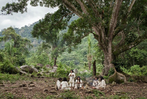 Người Kogi chọn cách sống thân thiện với thiên nhiên. Người Kogi chọn cách sống thân thiện với thiên nhiên