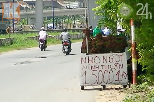 Các xe nho gắn mác nho Ninh Thuận được bày bán trên xa lộ Hà Nội, TP Hồ Chí Minh