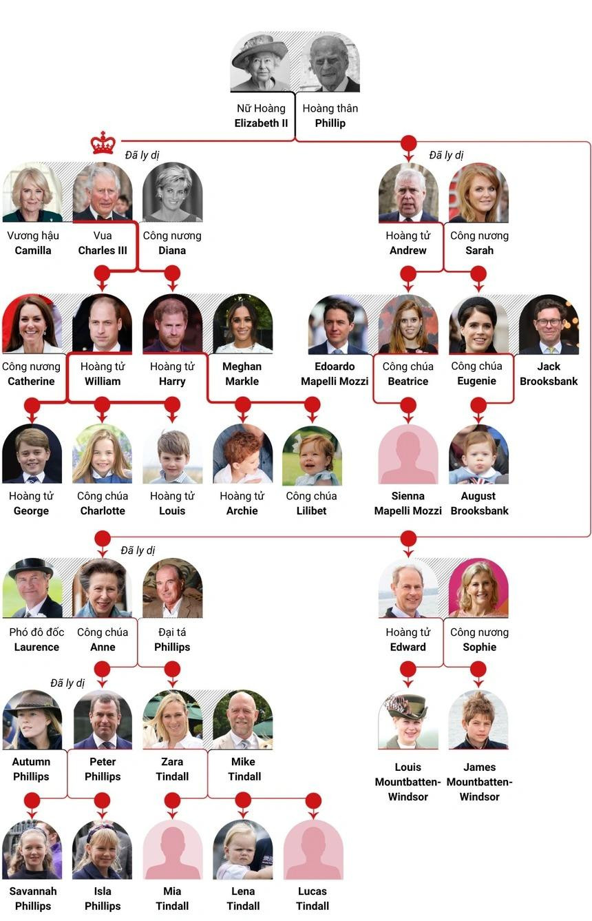 Thứ bậc kế vị ngai vàng Anh. Đồ họa: Telegraph. Việt hóa. Trần Hoàng.