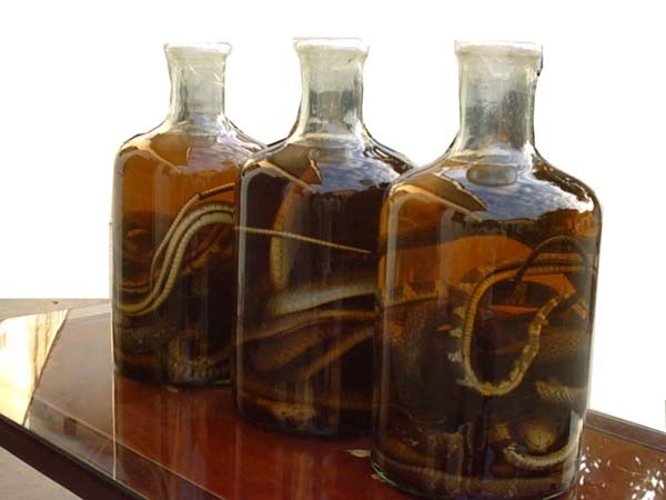 Ảnh minh họa - Internet