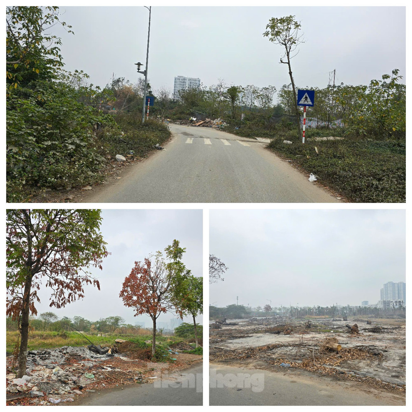 Để tháo gỡ những khó khăn, vướng mắc của dự án, Chủ tịch Trần Sỹ Thanh giao Sở TN&amp;MT khẩn trương hướng dẫn UBND huyện Thanh Trì thực hiện hạn mức giao đất ở khu tái định cư, báo cáo thành phố nếu vượt thẩm quyền. UBND quận Hà Đông và huyện Thanh Trì phải đẩy nhanh tiến độ GPMB liên quan đến dự án.