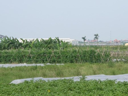 Tuy nhiên, rất ít dự án đã hoàn thành xong công tác đền bù giải phóng mặt bằng