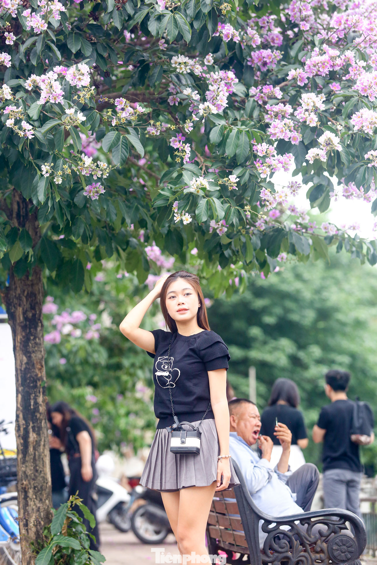 Sắc tím bằng lăng khiến khung cảnh ở đây trở nên sinh động, đẹp mắt hơn.