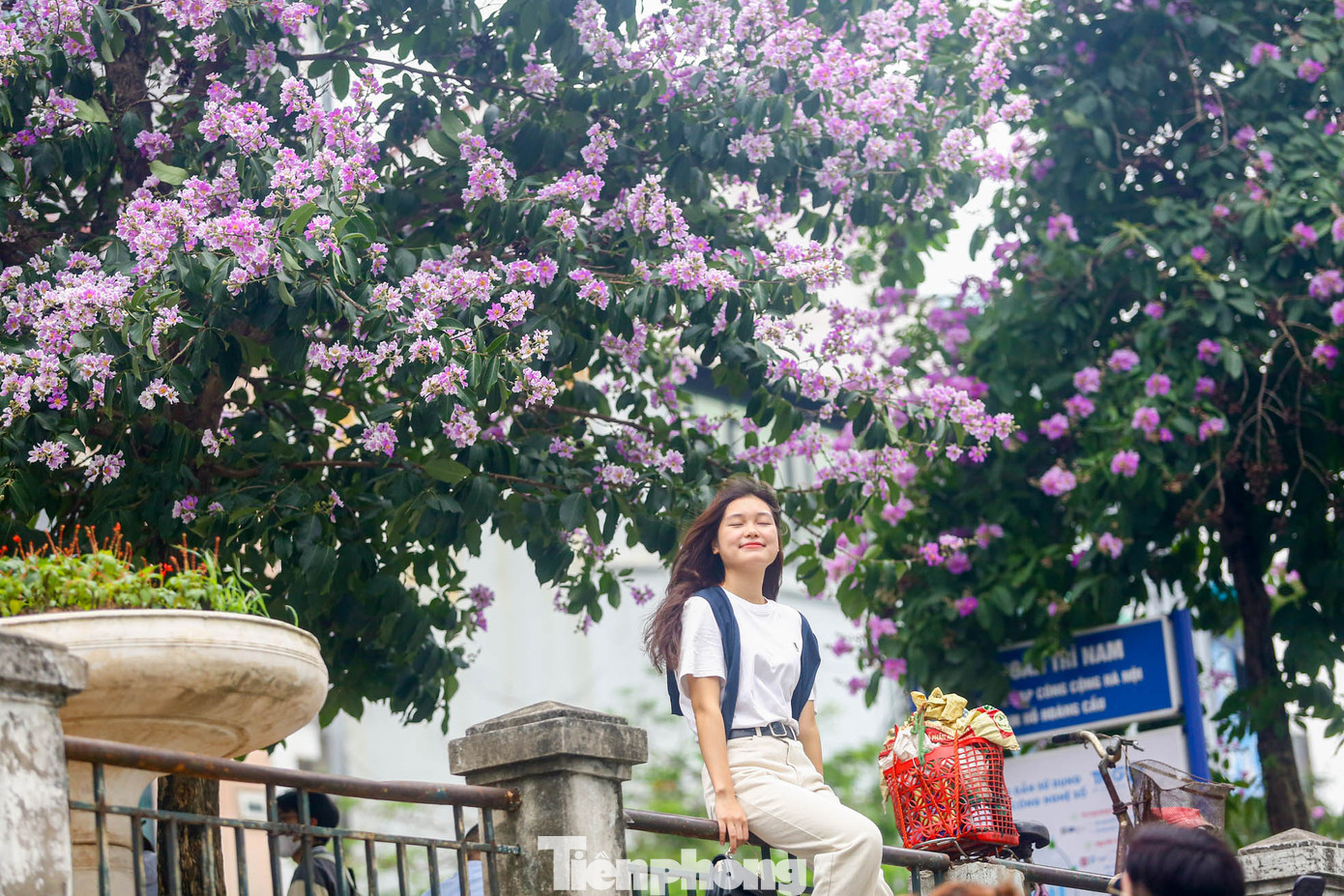 Thiếu nữ ngồi lan can hồ thả dáng với nền đằng sau rực sắc tím hoa bằng lăng.