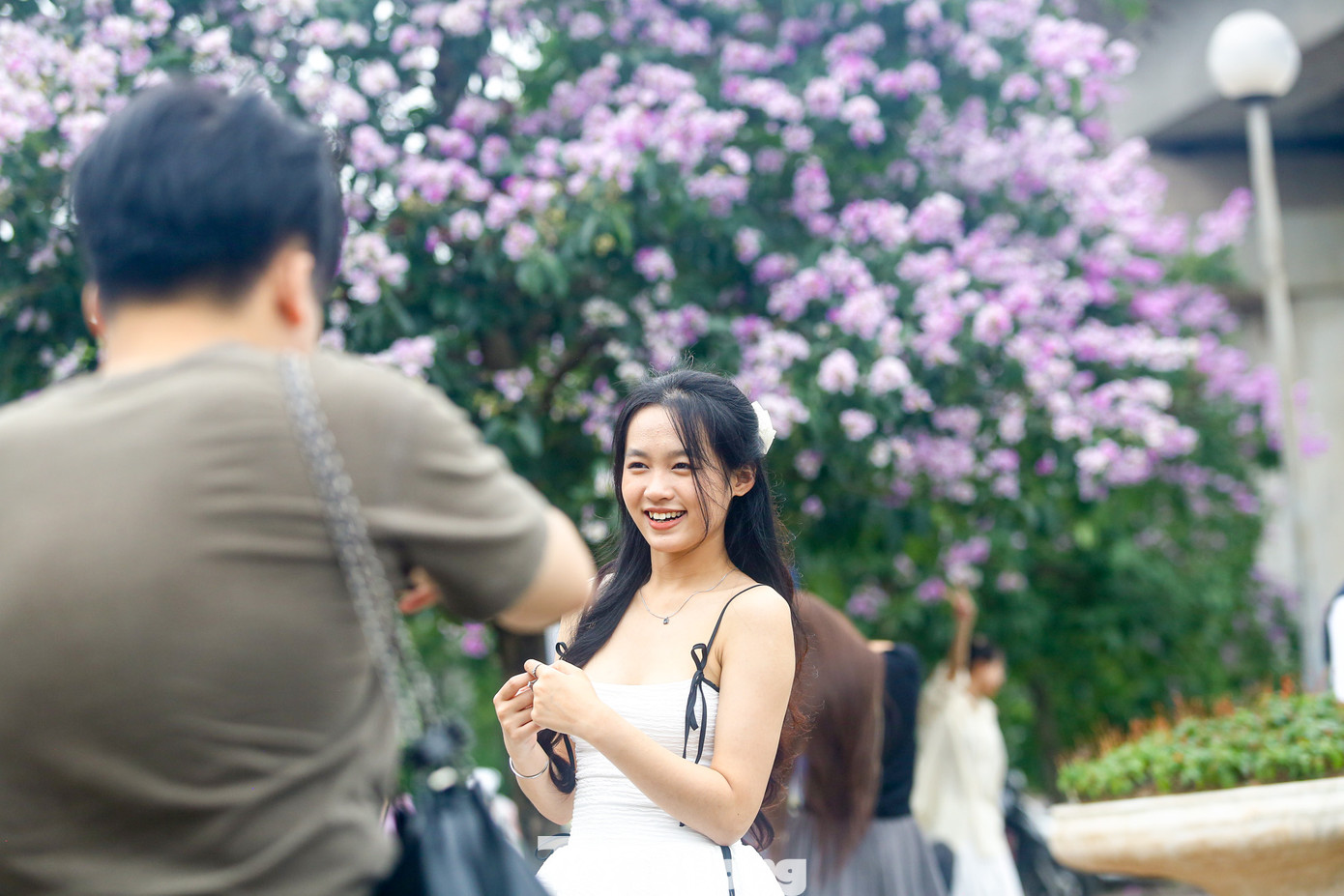 Những cây bằng lăng ở đây không quá cao và vỉa hè tương đối thoáng đãng nên thu hút nhiều "nàng thơ" đến chụp ảnh, mặc thời tiết oi bức.