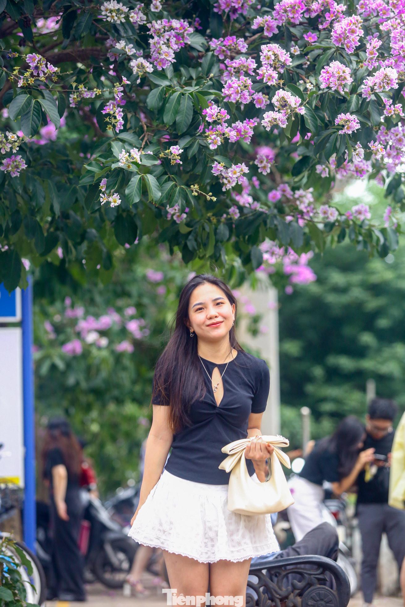 Sắc tím bằng lăng khiến khung cảnh ở đây trở nên sinh động, đẹp mắt hơn.